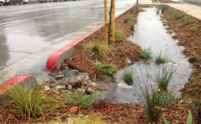 Measure W would fund projects like the Woodman Avenue green street project which slows and soaks rainwater in a landscaped median. Photo: Joe Linton/Streetsblog L.A.