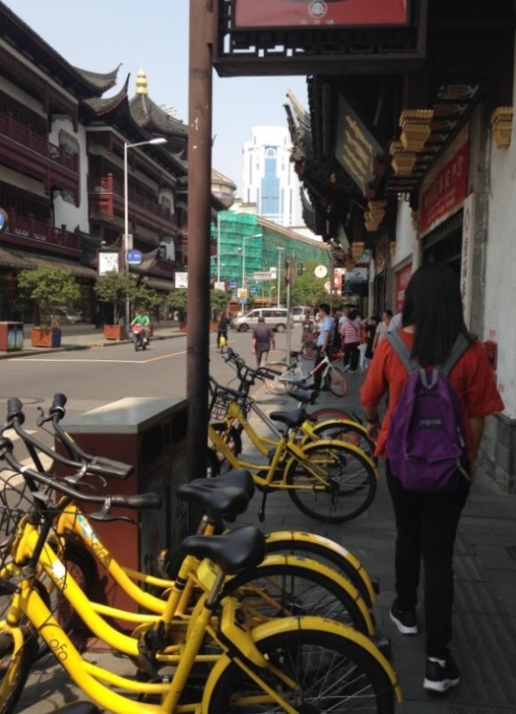 Dockless Shared Bikes in Shanghai. Photo courtesy of the author