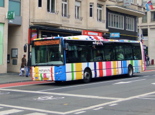 Photo: Gilpe/Wikimedia Commons