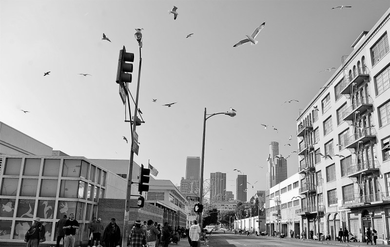 Seagulls circle overhead at 6th and San Pedro in the Skid Row neighborhood in 2012. Sahra Sulaiman/Streetsblog L.A.