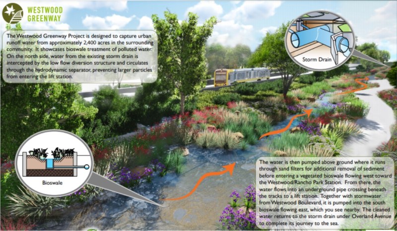 Rendering of Westwood greenway, showing drainage plan