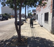 This portion of Burbank Blvd will be made safer for walking. Photo by Joe Linton