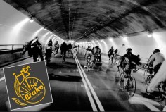 Photo: Guillermo A. Durán, CC