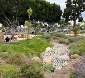 East L.A.'s new rainwater infiltration medians. Photos by Joe Linton/Streetsblog