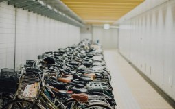 Photo: Stocksnap via Pixabay, CC